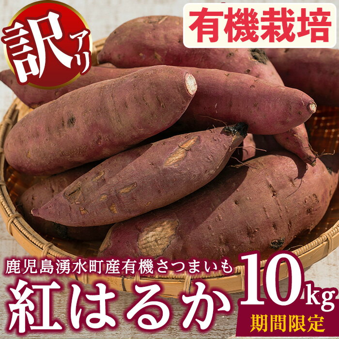 ≪訳あり・期間/数量限定≫湧水町産有機さつまいも 紅はるか(10kg) 国産 九州産 鹿児島産 有機栽培 オーガニック サツマイモ 生芋 芋 紅春香 べにはるか 焼き芋 天ぷら おかず 野菜 やさい 旬 傷 訳アリ わけあり 常温 常温保存【そのやま農園】