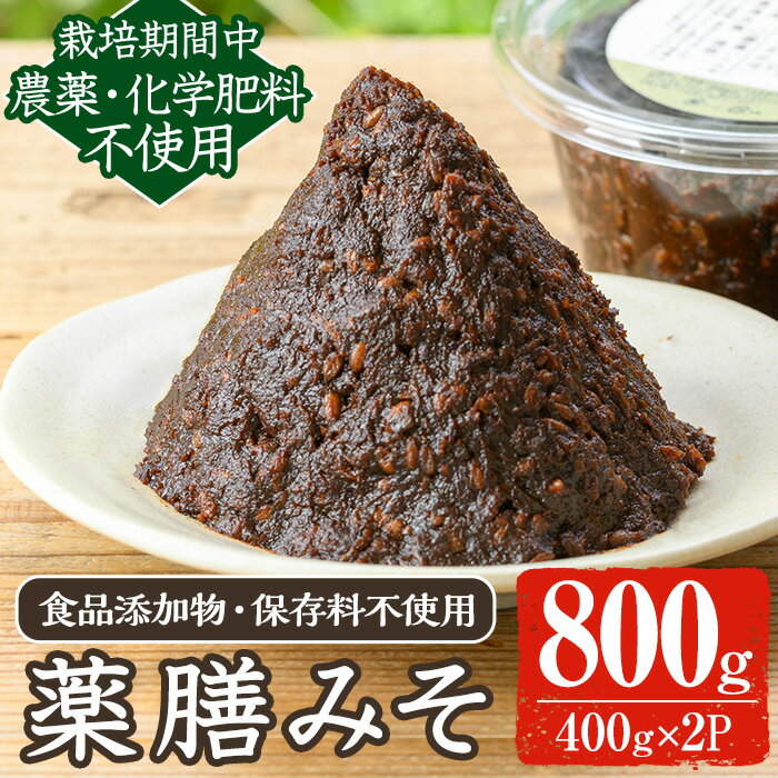 《数量限定》薬膳味噌(ハトムギ味噌)(計800g・400g×2パック) 味噌 麦味噌 自家栽培 ハトムギ 玄米麹 ハトムギ麹 麦麹 麹 こうじ 玄米 大豆 黒大豆 みそ汁 味噌汁 化学肥料不使用 農薬不使用 有機 有機農業 有機肥料【雲月農園】