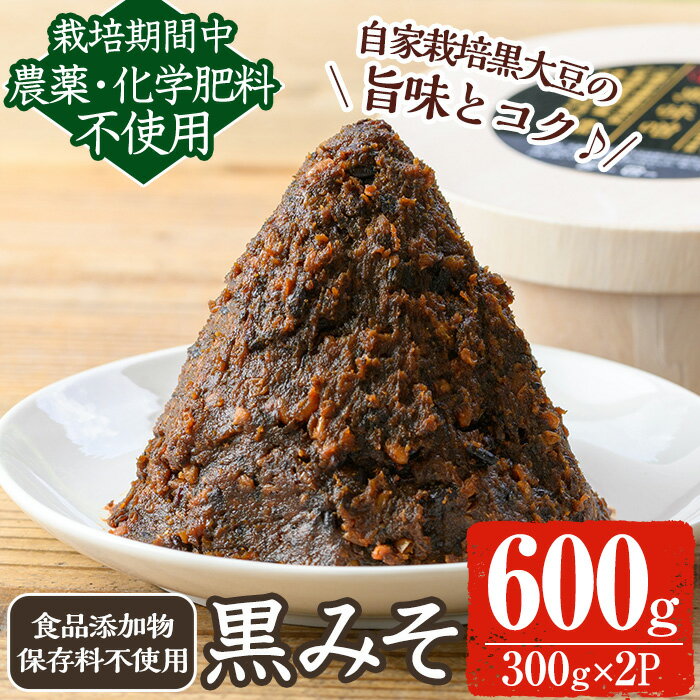 《数量限定》黒味噌(黒米麹と黒大豆)計600g(300g×2パック) 味噌 黒味噌 黒大豆 大豆 田楽 和え物 黒米麹 麹 こうじ みそ汁 味噌汁 有機 有機農業 有機肥料 【雲月農園】