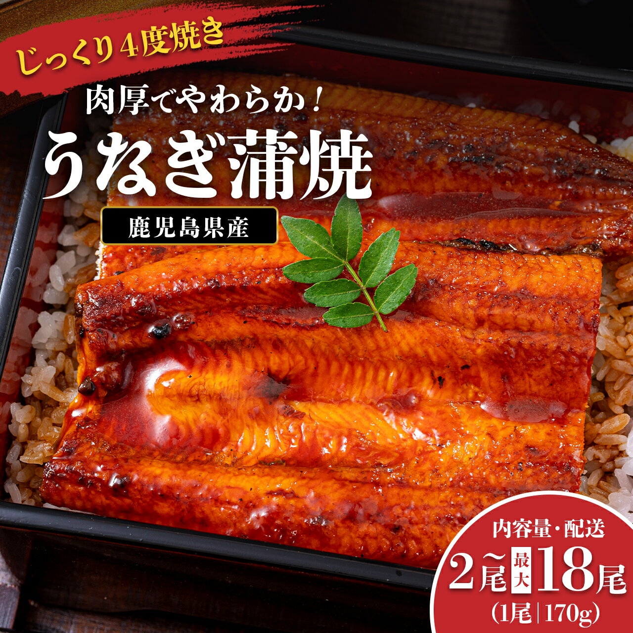 うなぎ 鰻 うなぎ蒲焼 選べる 内容量 配送 ( 1尾あたり 170g ) | ふるさと納税 うなぎ 高級 ウナギ 鰻 国産 蒲焼 蒲焼き たれ 鹿児島 大隅 大崎町 ふるさと 人気 送料無料