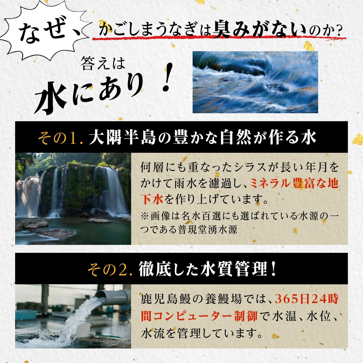 【ふるさと納税】うなぎ 鰻 うなぎ蒲焼 選べる 内容量 配送 ( 1尾あたり 160g ) | ふるさと納税 うなぎ 高級 ウナギ 鰻 国産 蒲焼 蒲焼き たれ 鹿児島 大隅 大崎町 ふるさと 人気 送料無料 サムネイル3