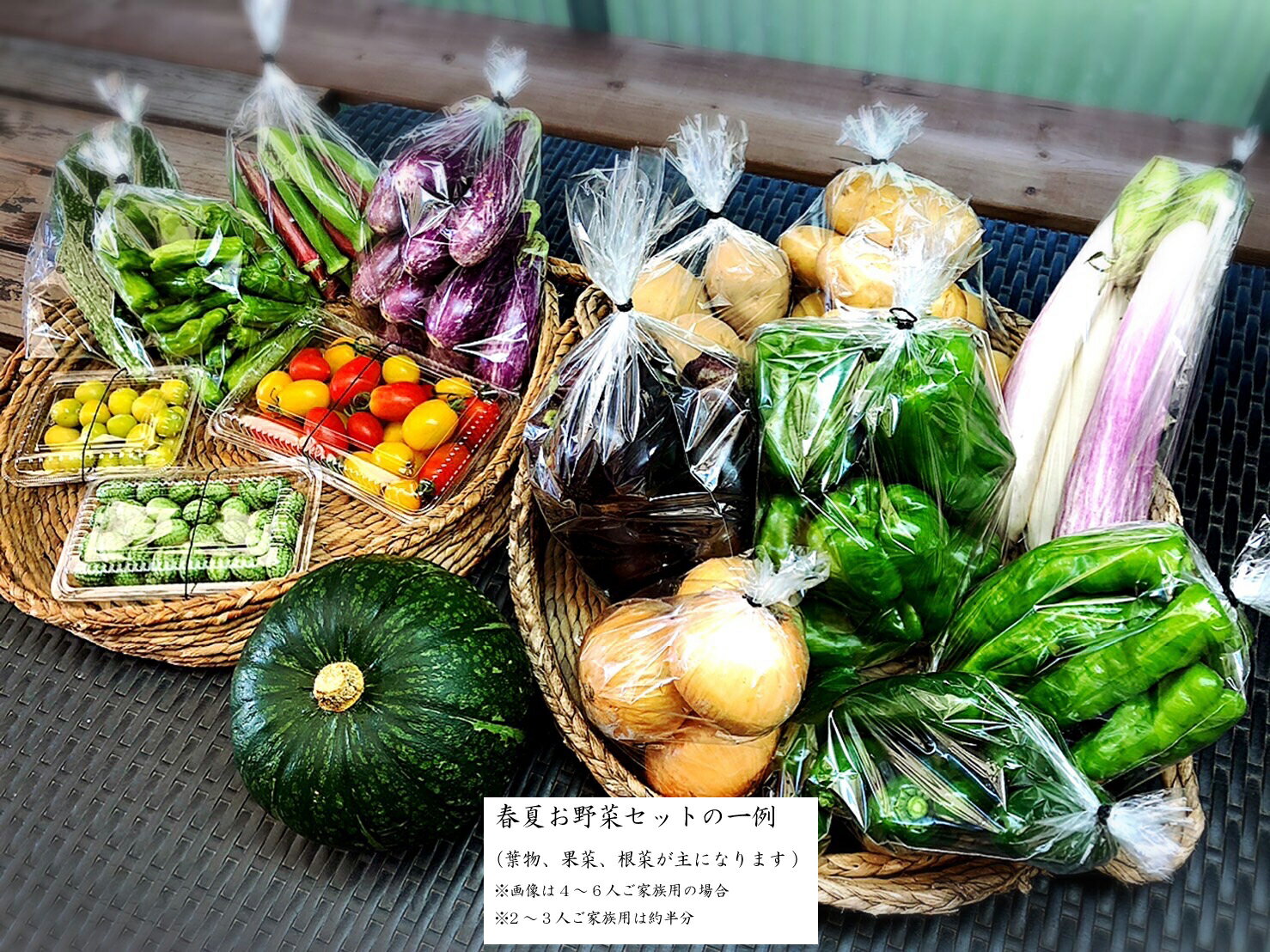 【ふるさと納税】西洋野菜と季節の鹿児島 野菜セット | 野菜 詰め合わせ おまかせ やさい 産地直送 旬 新鮮 春野菜 夏野菜 国産 九州産 鹿児島 - 画像2