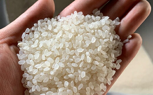 【ふるさと納税】 【 大崎町 × 岩手県北上市 コラボ 米焼酎 】 kokokaraきたかみ 720ml × 6本 | ふるさと納税 酒 お酒 焼酎 米 こめ焼酎 鹿児島県大崎町 鹿児島県産 北上市 さけ 大崎町 米焼酎 アルコール飲料 サムネイル2