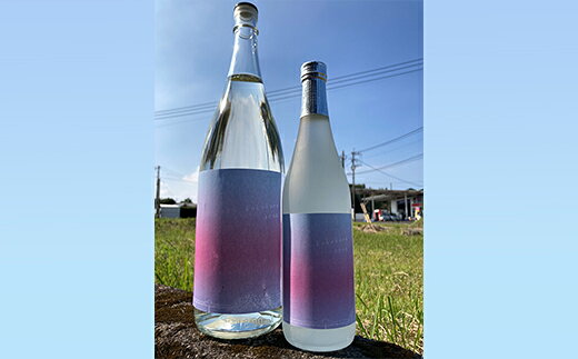 【ふるさと納税】 【 大崎町 × 岩手県北上市 コラボ 米焼酎 】 kokokaraきたかみ 720ml × 6本 | ふるさと納税 酒 お酒 焼酎 米 こめ焼酎 鹿児島県大崎町 鹿児島県産 北上市 さけ 大崎町 米焼酎 アルコール飲料 サムネイル3