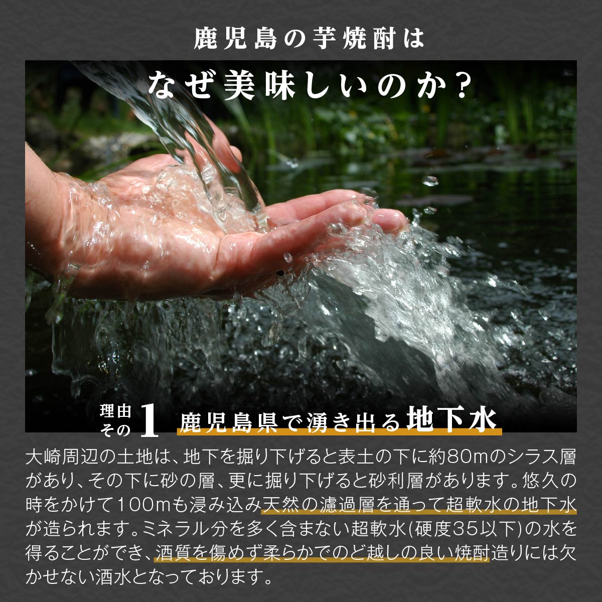 【ふるさと納税】池田酒店 店主推薦「鰻にあう！」大崎焼酎 太久保ホワイトオーク |鹿児島 鹿児島県 大崎町 大崎 支援 お取り寄せ ご当地 特産品 名産品 芋焼酎 いも焼酎 焼酎 芋 いも 酒 お酒 おさけ うなぎ 古酒 熟成 ホワイトオーク 特産 九州 鹿児島県大崎町 お土産 人気 サムネイル3