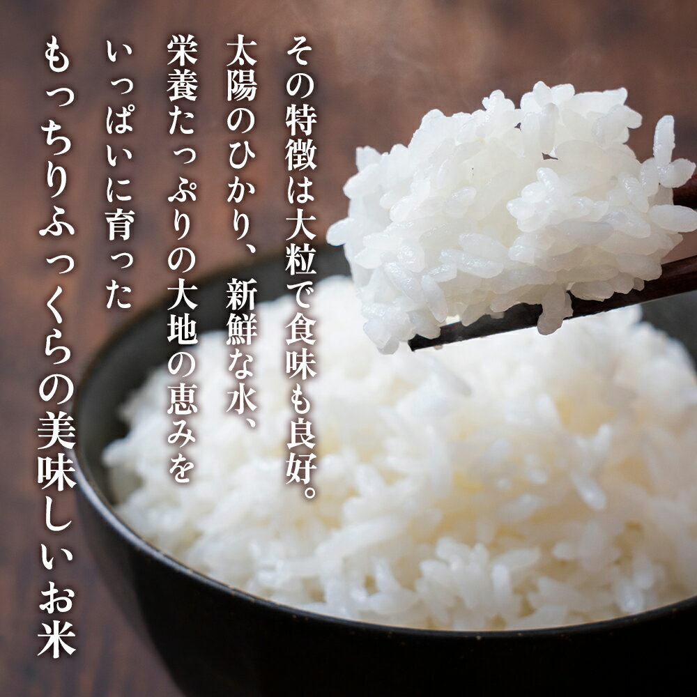 【ふるさと納税】 令和7年産 米 なつほのか 選べる 内容量 5kg 10kg 20kg 鹿児島県産 こめ | ふるさと納税 白米 お米 精米 ブランド米 大粒 弁当 ごはん ご飯 おにぎり 鹿児島県 大崎町 お取り寄せ 送料無料 - 画像3