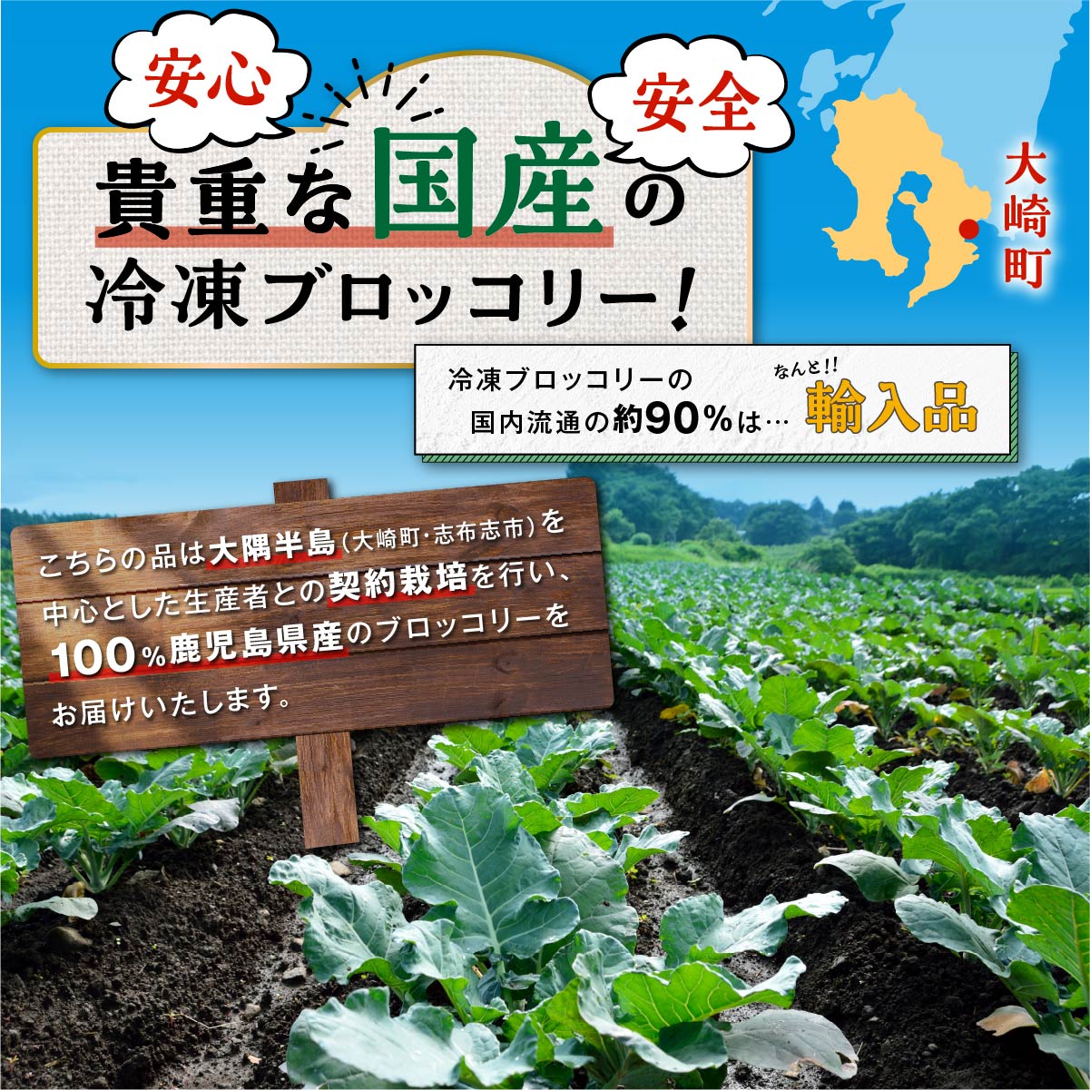 【ふるさと納税】野菜 ブロッコリー 国産 冷凍ブロッコリー 選べる内容量 | 鹿児島県産 国産ブロッコリー 冷凍 冷凍ブロッコリー 瞬間冷蔵 収穫 カット 緑黄色野菜 冷凍野菜 カット野菜 時短 弁当 簡単 便利 美容 お徳用 朝食 奥様 おすすめ 鹿児島県大崎町 サムネイル2
