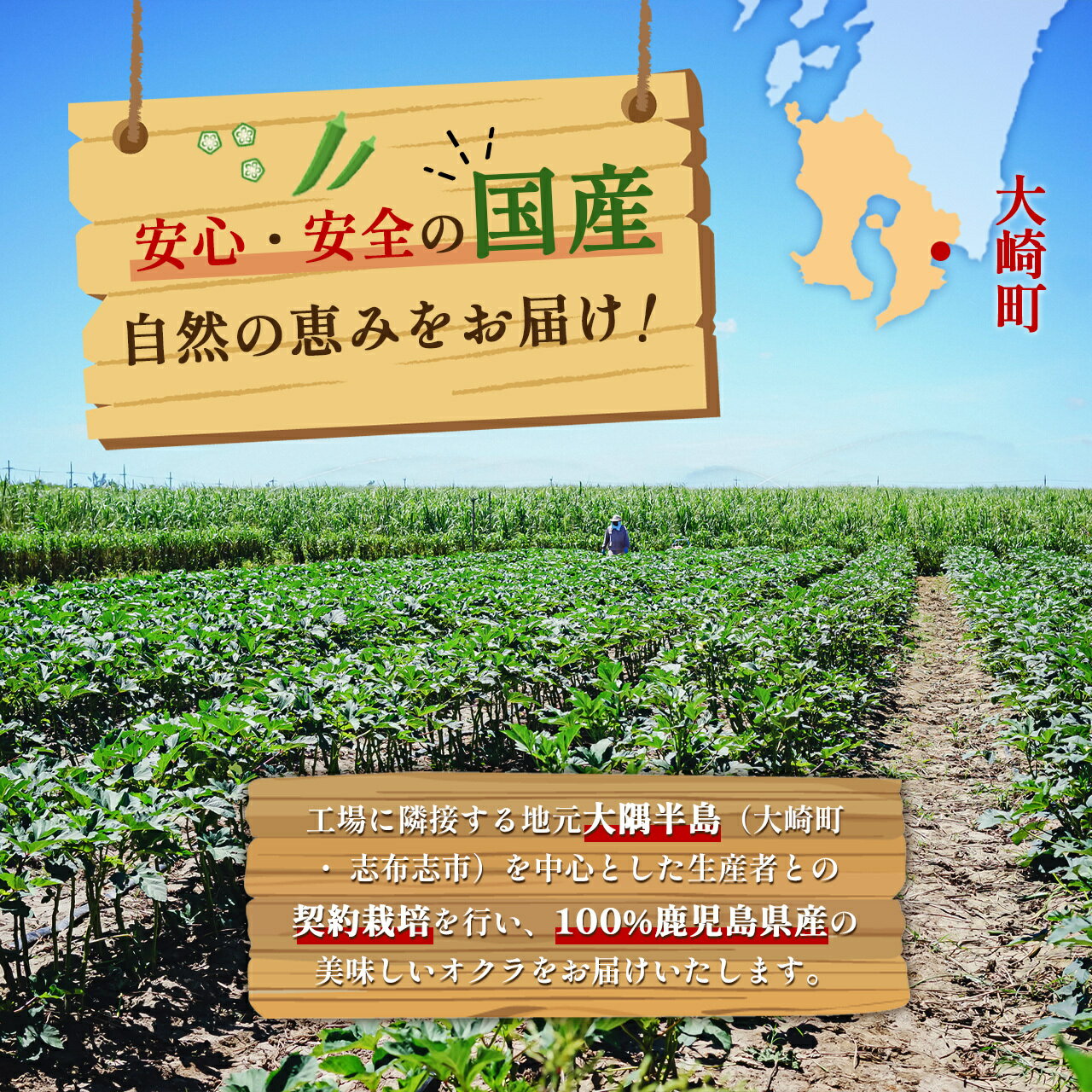 【ふるさと納税】国産 冷凍オクラスライス 選べる 内容量 配送 | 鹿児島県産 お取り寄せグルメ ご当地 九州産 国産 国産オクラ オクラ おくら 冷凍 冷凍オクラ オクラスライス スライス レンチン 時短調理 弁当 鹿児島県大崎町 サムネイル2