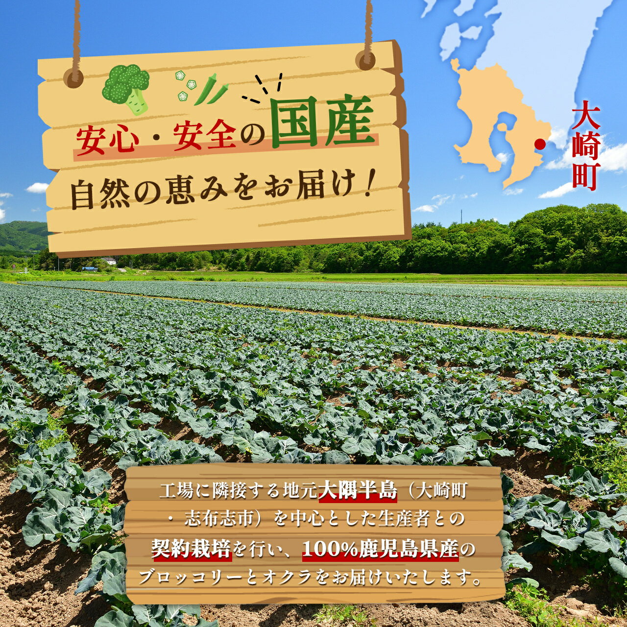 【ふるさと納税】国産 冷凍 ブロッコリー ＆ オクラ セット | 冷凍野菜 カット野菜 冷凍ブロッコリー 冷凍オクラ ぶろっこりー おくら 詰め合わせ 鹿児島県産 おすすめ - 画像2