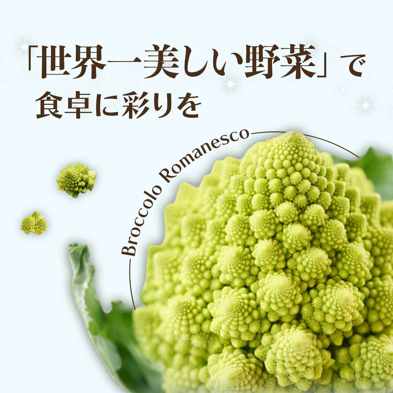 【ふるさと納税】野菜 ロマネスコカリフラワー 国産 冷凍カリフラワー 選べる内容量 | 鹿児島県産 国産カリフラワー 冷凍 カリフラワー 瞬間冷蔵 収穫 カット 緑黄色野菜 冷凍野菜 カット野菜 時短 弁当 簡単 便利 美容 お徳用 朝食 奥様 おすすめ 鹿児島県大崎町 - 画像3