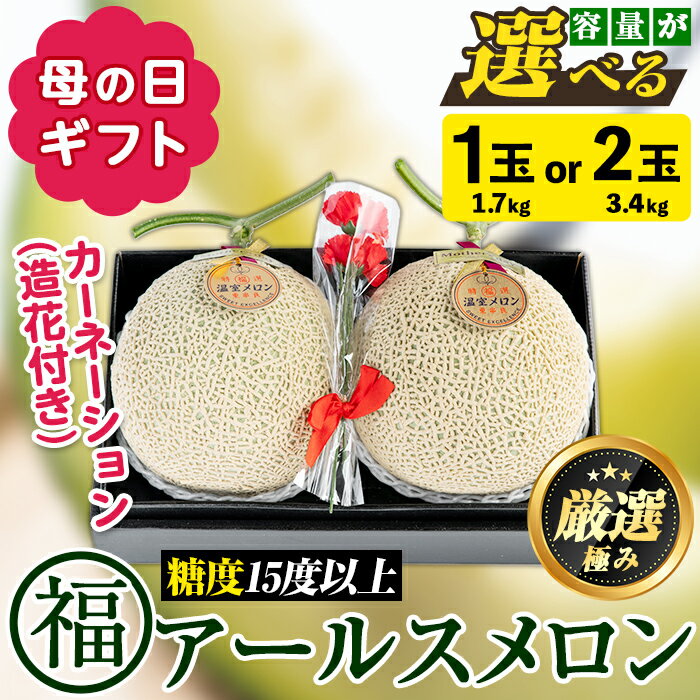 ＜容量が選べる！＞＜母の日ギフト・数量限定＞高級アールスメロン(大玉1玉・1.7kg、カーネーション(造花)付/大玉2玉・計3.4kg、カーネーション(造花)付) メロン フルーツ 果物 果実 1キロ 3キロ 数量限定 期間限定 贈答 贈り物 母の日【マル福園芸組合】