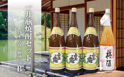 No.2121　白玉の露・梅酒（一升瓶）4本セットB