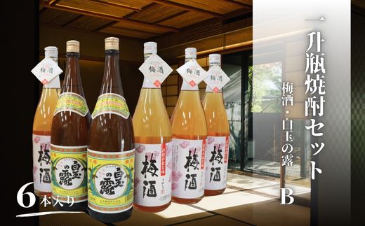 No.4080　白玉の露・梅酒（一升瓶）6本セットB