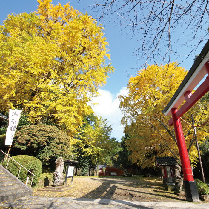 【ふるさと納税】No.1168-5　焼酎 【池田旗山】一升瓶×2本セット サムネイル2