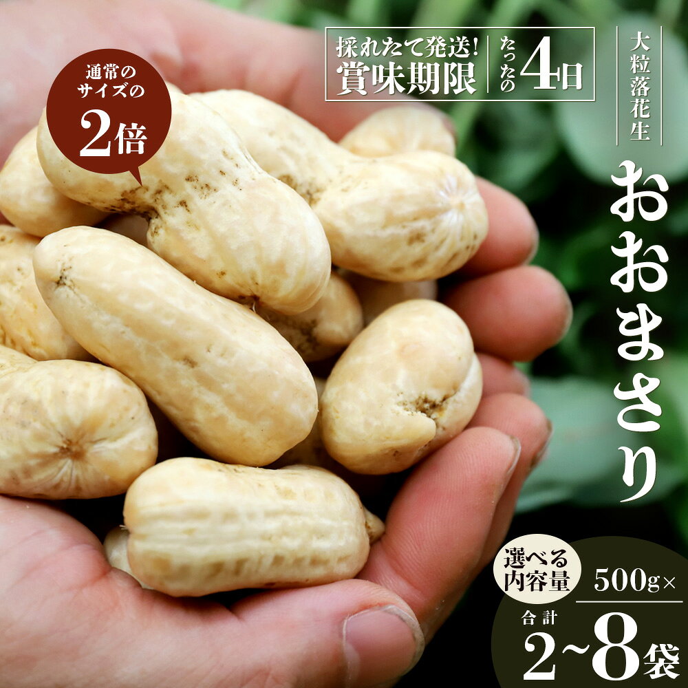【先行予約・数量限定】食べ応え抜群の大粒落花生「おおまさり」選べる内容量！（1kg～4kg） ｜鹿児島県産 野菜 やさい 食品 人気 おすすめ 送料無料 落花生 おおまさり 産地直送 新鮮 南大隅町