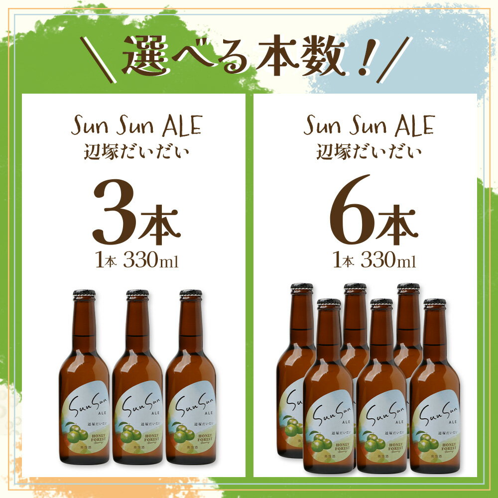 【ふるさと納税】SunSunALE　辺塚だいだい 【 3 本セット ・ 6 本セット 】 サムネイル3