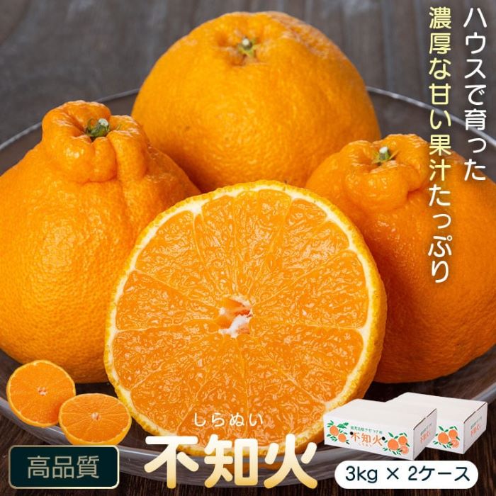 ＜先行予約受付中！2026年2月より収穫ができ次第順次発送予定＞肝付町産不知火(しらぬい)(計6kg・3kg×2ケース) 国産 フルーツ 果物 柑橘 みかん デコポン しらぬい 不和火 【JA鹿児島きもつき高山支所】