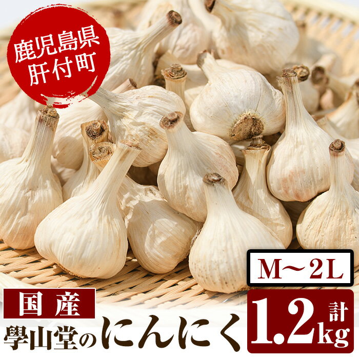 ＜先行予約受付中！2026年5月中旬以降準備が整い次第順次発送＞學山堂のにんにく(計1.2kg) 鹿児島 国産 にんにく ニンニク 大蒜 野菜 ガーリック 薬味【ニンニクの學山堂】