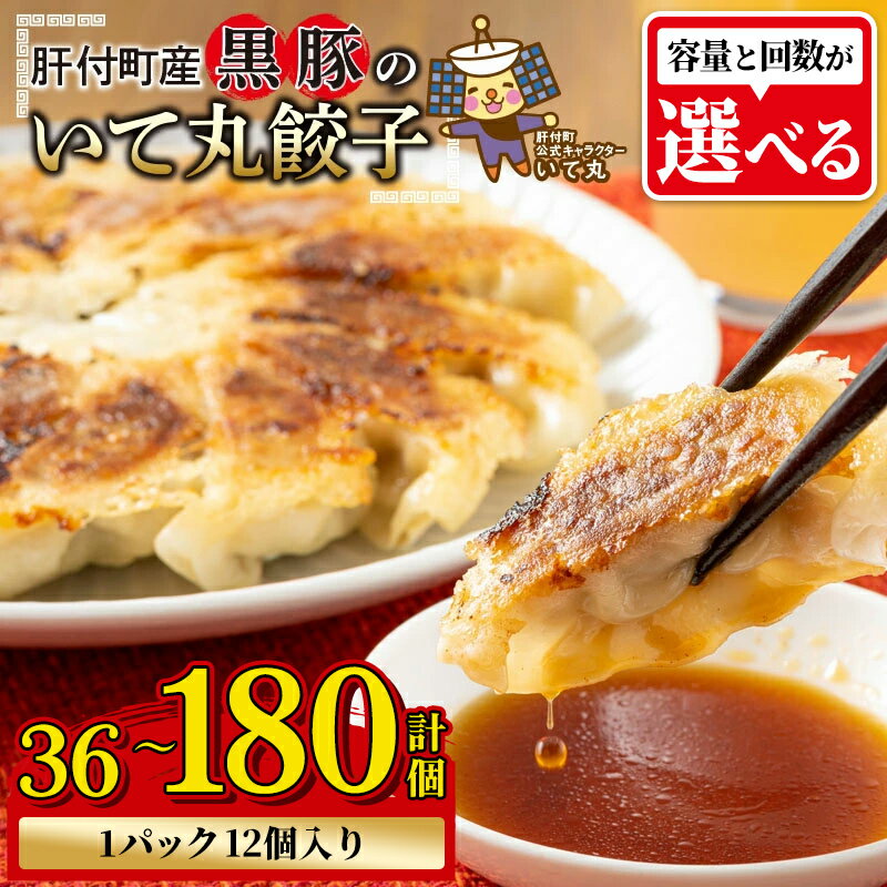 鹿児島県 肝付町産 黒豚 餃子 ギョーザ ＜1パック 12個入り＞ (計36個 ～ 計180個) ぎょうざ たれ付き パリパリ もちもち ジューシー おかず お弁当 冷凍食品 時短 小分け 加工品 冷凍 定期便 豚肉 国産 【財宝】
