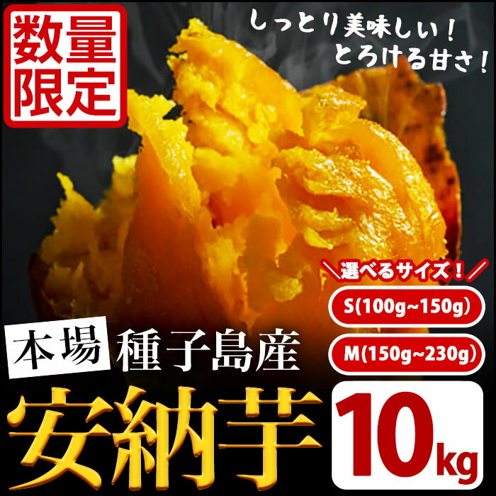 ＜先行予約受付中！2025年10月中旬頃より順次発送予定＞サイズが選べる！種子島産 安納芋(S～Mサイズ・10kg) 特産品 いも イモ 安納いも 野菜 芋類 スイーツ おやつ 本場 焼芋 焼き芋 生芋【JA種子屋久】