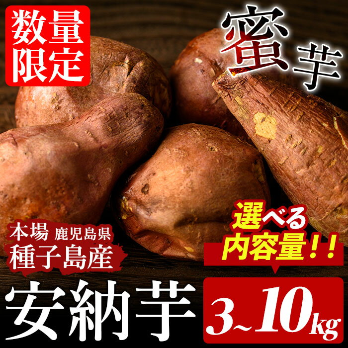 ＜先行予約受付中！2025年10月中旬頃より順次発送予定＞内容量が選べる！種子島産 安納芋(3～10kg) 国産 安納芋 本場 種子島 芋 イモ いも さつまいも さつま芋 安納いも 野菜【種子島安納株式会社】