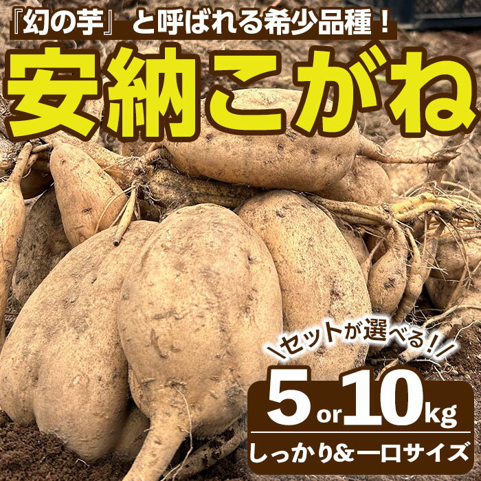 ＜期間限定！＞内容量が選べる！種子島産 安納こがね(5kgセット or 10kgセット) 国産 安納芋 黄金 本場 種子島 芋 イモ いも さつまいも さつま芋 安納いも 野菜【なかたね農産】