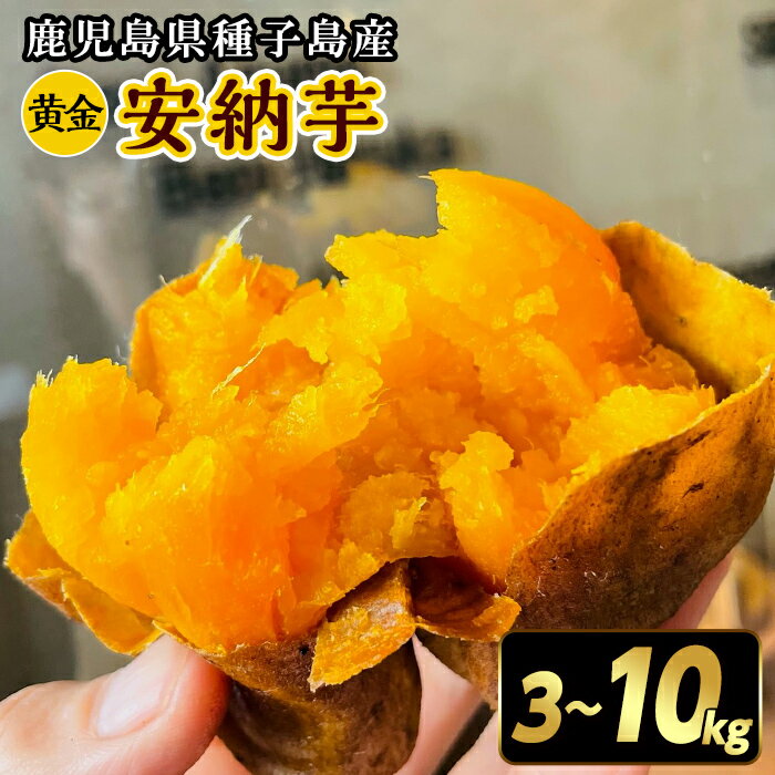 ＜期間限定！先行予約受付中！2025年9月下旬頃から12月中の発送予定＞内容量が選べる！種子島産 安納芋＜黄金＞(3～10kg) 国産 安納芋 黄金 種子島 芋 さつま芋 生芋 安納いも 野菜 焼芋 焼き芋 こがね【うずえ屋】