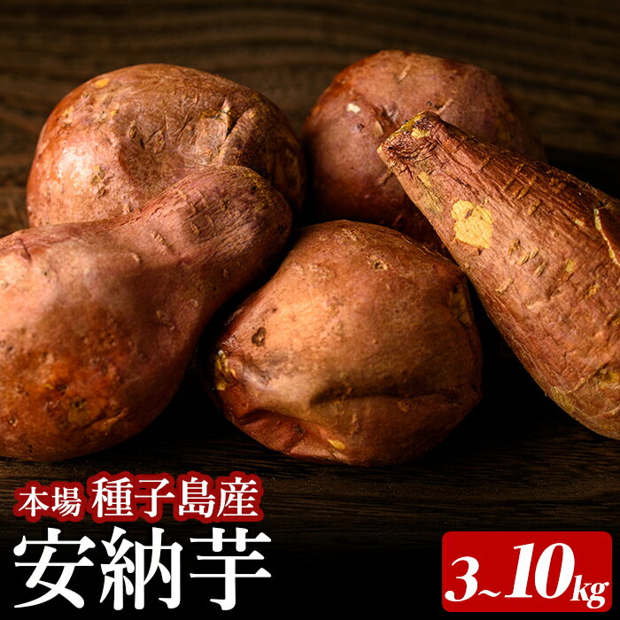 数量限定！内容量が選べる！種子島産 安納芋(3～10kg) 国産 安納芋 本場 種子島 芋 イモ いも さつまいも さつま芋 安納いも 野菜【種子島安納株式会社】