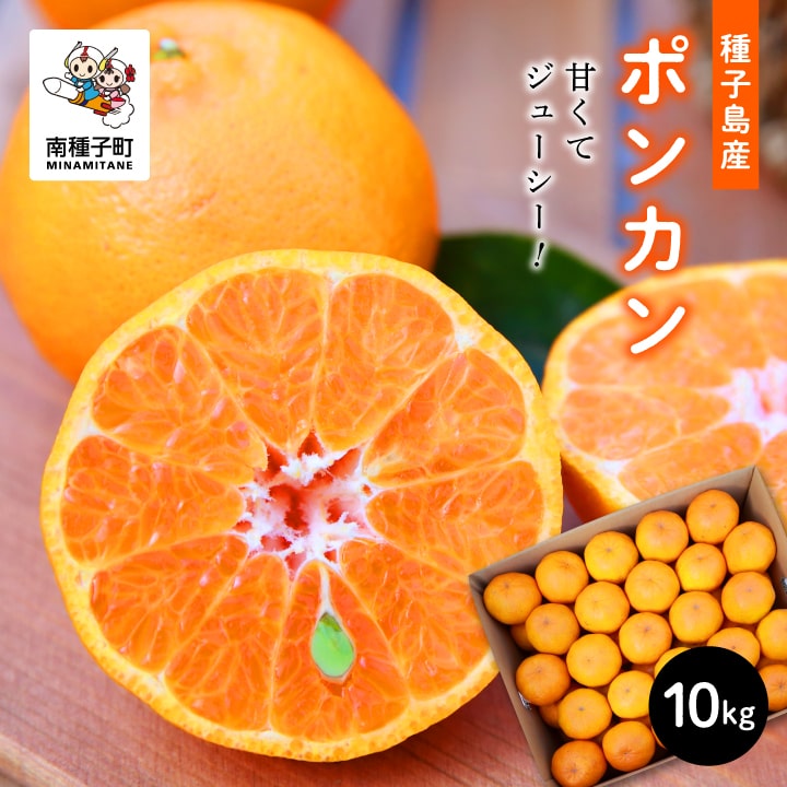 《先行予約》《2025年12月中旬頃〜1月中旬頃順次発送》 種子島産 ポンカン 約 10kg ( 約65玉 ) オレンジ ぽんかん 果物 フルーツ 食品 グルメ お取り寄せ お正月 人気 おすすめ ギフト 返礼品 南種子町 鹿児島 かごしま 【南種子町果樹部会】