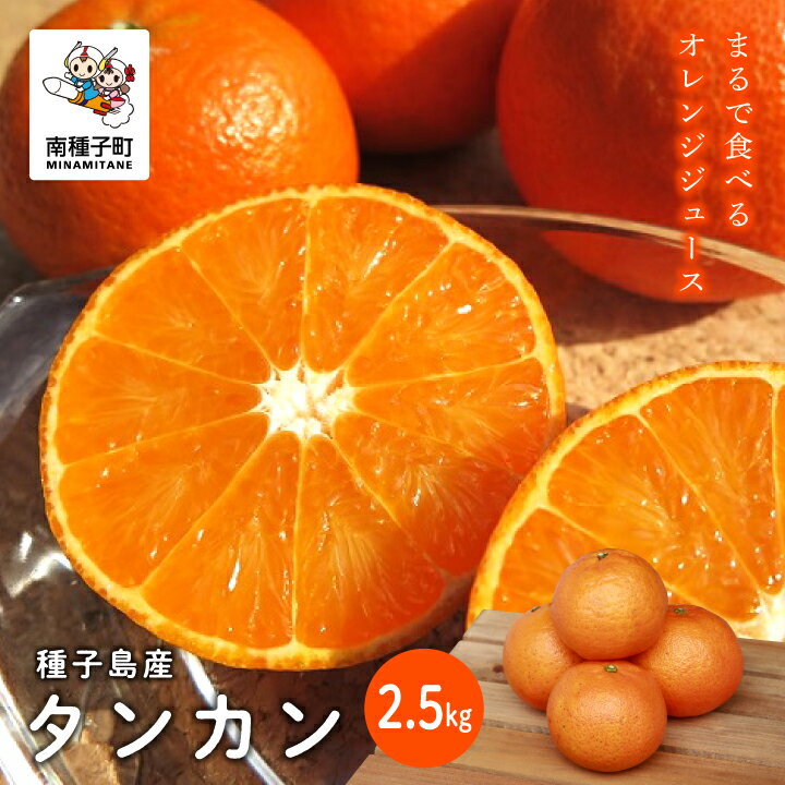 《 先行予約 》《 2026年2月中旬〜3月中旬頃順次発送》 種子島産 タンカン 約 2.5kg タンカン たんかん オレンジ 果物 フルーツ 食品 グルメ お取り寄せ お正月 人気 おすすめ ギフト 返礼品 南種子町 鹿児島 かごしま 【南種子町果樹部会】