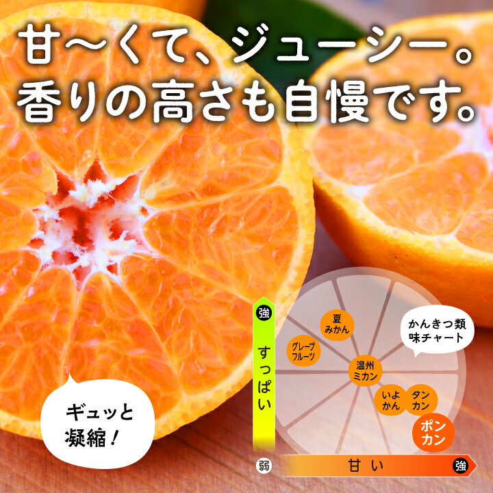 【ふるさと納税】 《先行予約》《2025年12月中旬頃〜1月中旬頃順次発送》 種子島産 ポンカン 約 10kg ( 約65玉 ) オレンジ ぽんかん 果物 フルーツ 食品 グルメ お取り寄せ お正月 人気 おすすめ ギフト 返礼品 南種子町 鹿児島 かごしま 【南種子町果樹部会】 サムネイル3