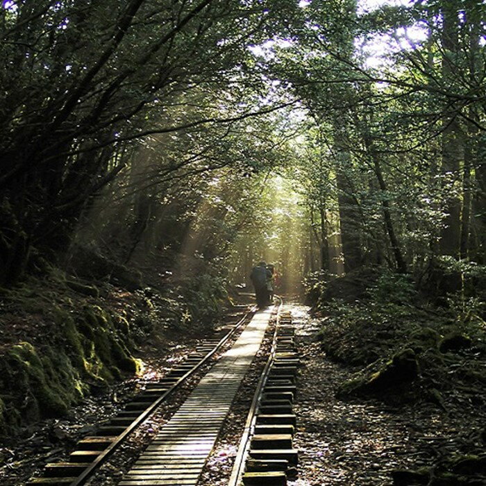 【ふるさと納税】【装備レンタル付！】縄文杉トレッキング - 画像3