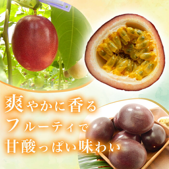 【ふるさと納税】【※先行予約 2026年7～9月頃順次発送予定】生産者が選べる パッションフルーツ バラ詰め 1kg 2kg 3kg 5kg 鹿児島県産 国産 栽培　農薬不使用 奄美大島 宇検村 果物 フルーツ リリコイ 果物時計草 南国 品種 産地直送 農家直送 家庭用 特産品 旬 新物 - 画像2