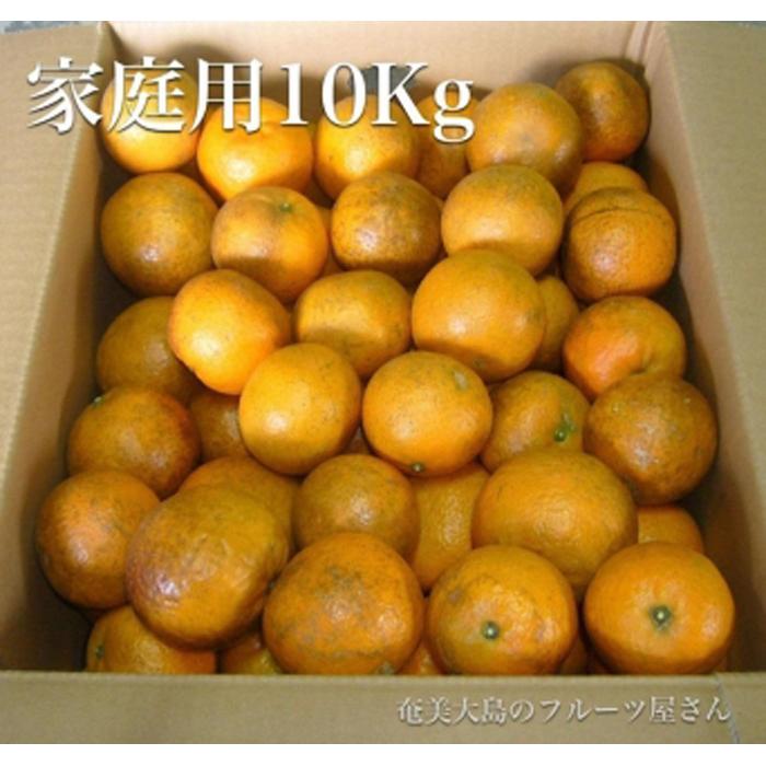 【ふるさと納税】【2026年2月以降発送】訳あり 奄美たんかん 家庭用10kg＜数量限定／先行予約＞ | 10kg 奄美 奄美大島 たんかん フルーツ 果物 期間限定 瀬戸内町 鹿児島 鹿児島県 九州 送料無料 おすすめ 人気 柑橘 お取り寄せ 家庭用 サムネイル3