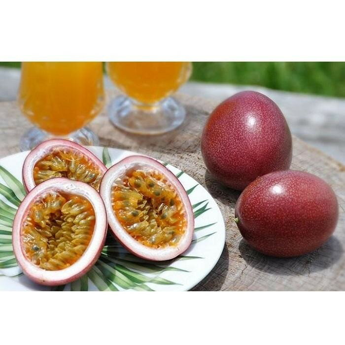 【2026年発送分 先行受付】パッションフルーツ 化粧箱12個入り(L玉)×4箱【たけはら農園】 | 鹿児島県 鹿児島 瀬戸内町 九州 奄美大島 奄美 返礼品 特産品 名産品 パッションフルーツ 果物 くだもの トロピカルフルーツ 南国フルーツ ギフト