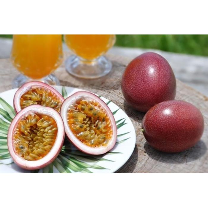 【2026年発送分 先行受付】パッションフルーツ バラ詰め2kg【たけはら農園】 | 鹿児島県 鹿児島 瀬戸内町 九州 奄美大島 奄美 返礼品 特産品 名産品 パッションフルーツ 果物 くだもの トロピカルフルーツ 南国フルーツ ギフト