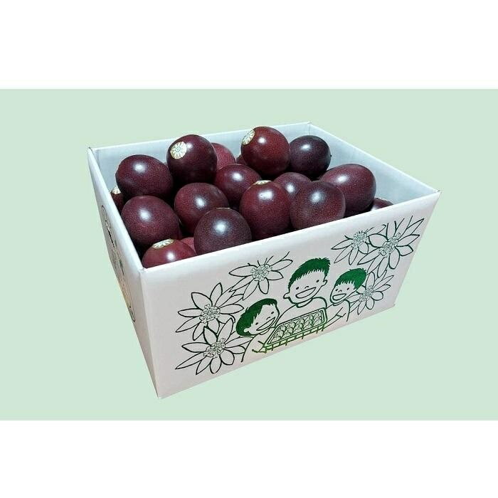 【ふるさと納税】【2026年発送分 先行受付】パッションフルーツ バラ詰め3kg【たけはら農園】 | 鹿児島県 鹿児島 瀬戸内町 九州 楽天ふるさと 納税 奄美大島 奄美 返礼品 支援 支援品 特産品 取り寄せ お取り寄せグルメ フルーツ 果物 南国フルーツ サムネイル2