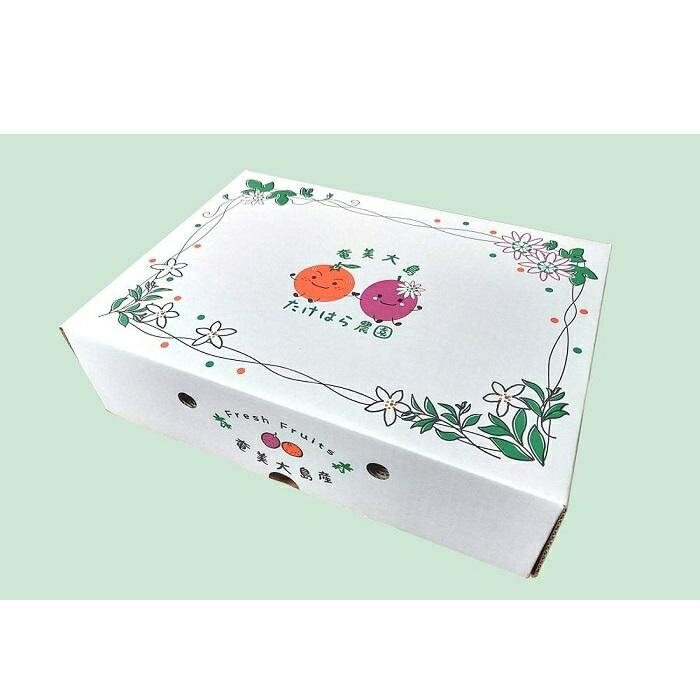 【ふるさと納税】【2026年発送分 先行受付】パッションフルーツ 化粧箱12個入り(L玉)×4箱【たけはら農園】 | 鹿児島県 鹿児島 瀬戸内町 九州 奄美大島 奄美 返礼品 特産品 名産品 パッションフルーツ 果物 くだもの トロピカルフルーツ 南国フルーツ ギフト サムネイル2