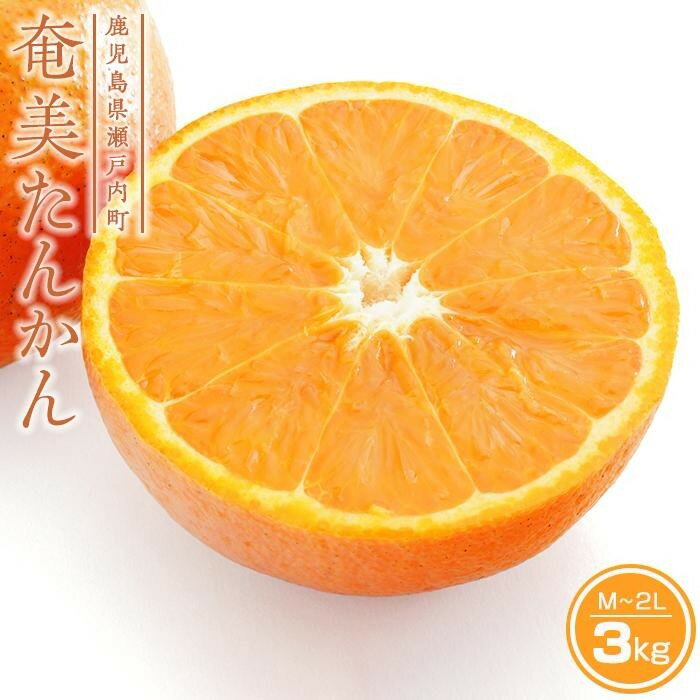 【2026年発送 先行予約】武富農園の奄美たんかん 約3kg | 果物 フルーツ 先行予約 数量限定 送料無料 奄美 奄美大島 瀬戸内町 鹿児島 鹿児島県 九州 お取り寄せ おすすめ