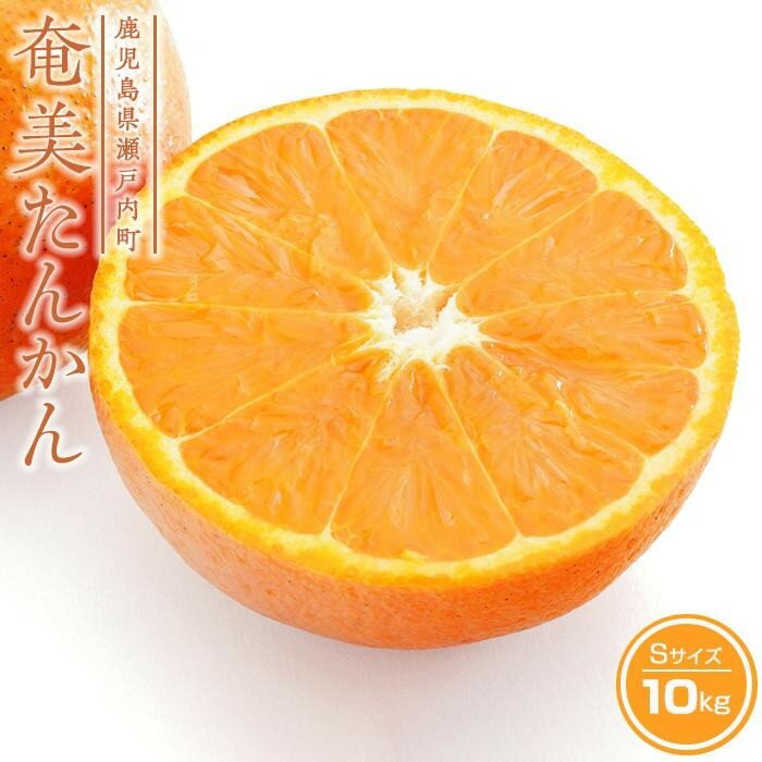 【2026年発送 先行予約】武富農園の奄美たんかん 約10kg Sサイズ | 果物 フルーツ 先行予約 数量限定 送料無料 奄美 奄美大島 瀬戸内町 鹿児島 鹿児島県 九州 お取り寄せ おすすめ