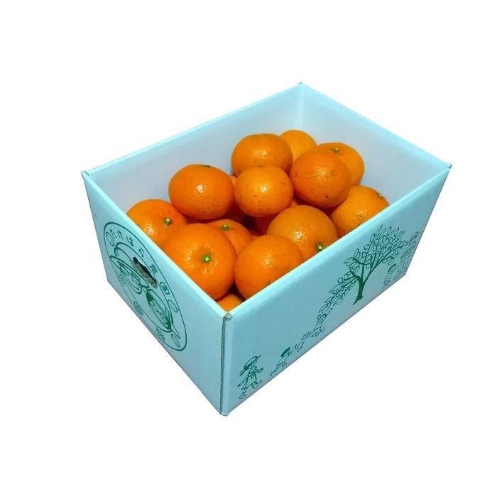 【2026年発送分 先行受付】たんかん ご家庭用バラ詰め3kg【たけはら農園】 | 鹿児島県 鹿児島 瀬戸内町 九州 奄美大島 奄美 楽天ふるさと 納税 特産品 名産品 お取り寄せ ご当地 グルメ フルーツ 果物 柑橘 たんかん タンカン