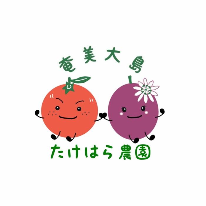 【ふるさと納税】【2026年発送分 先行受付】たんかん ご家庭用バラ詰め3kg【たけはら農園】 | 鹿児島県 鹿児島 瀬戸内町 九州 奄美大島 奄美 楽天ふるさと 納税 特産品 名産品 お取り寄せ ご当地 グルメ フルーツ 果物 柑橘 たんかん タンカン サムネイル3