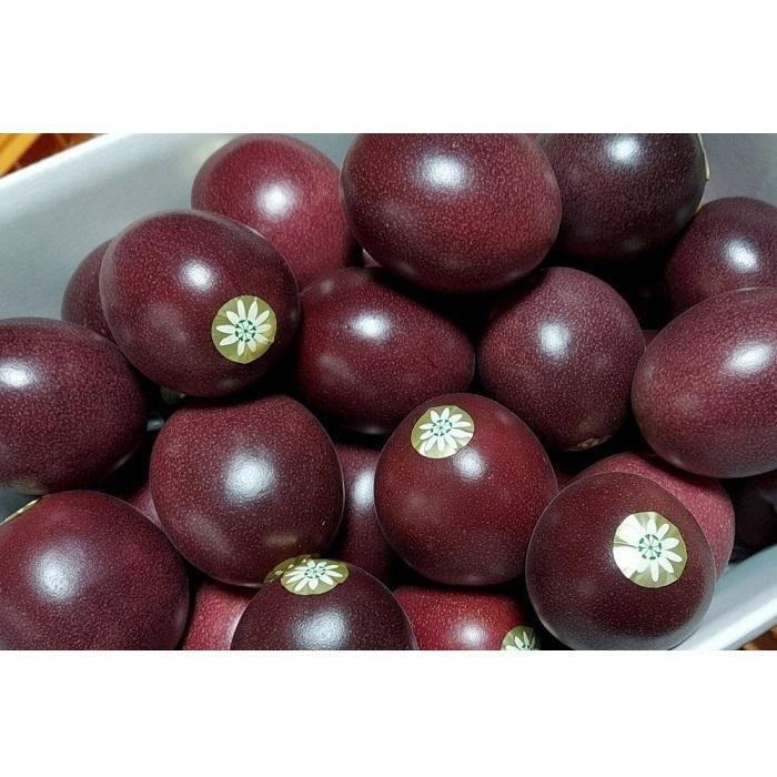 【ふるさと納税】【2026年発送分 先行受付】パッションフルーツ バラ詰め4.5kg【たけはら農園】 | 鹿児島県 鹿児島 瀬戸内町 九州 奄美大島 奄美 返礼品 特産品 名産品 パッションフルーツ 果物 くだもの トロピカルフルーツ 南国フルーツ ギフト サムネイル2