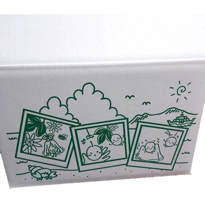 【ふるさと納税】【2026年発送分 先行受付】パッションフルーツ バラ詰め4.5kg【たけはら農園】 | 鹿児島県 鹿児島 瀬戸内町 九州 奄美大島 奄美 返礼品 特産品 名産品 パッションフルーツ 果物 くだもの トロピカルフルーツ 南国フルーツ ギフト サムネイル3