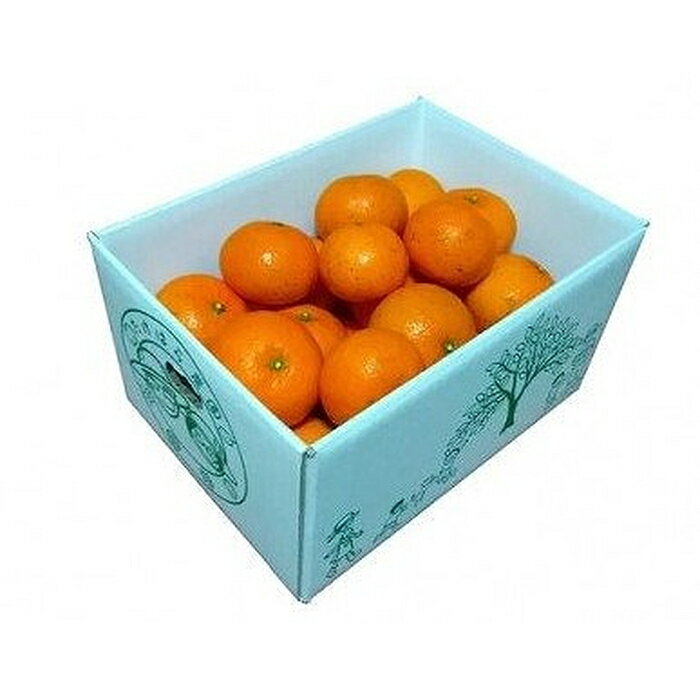 【2026年発送分 先行受付】たんかん ご家庭用バラ詰め3kg×2箱【たけはら農園】 | 鹿児島県 鹿児島 瀬戸内町 九州 奄美大島 奄美 楽天ふるさと 納税 特産品 名産品 お取り寄せ ご当地 グルメ フルーツ 果物 柑橘 たんかん タンカン