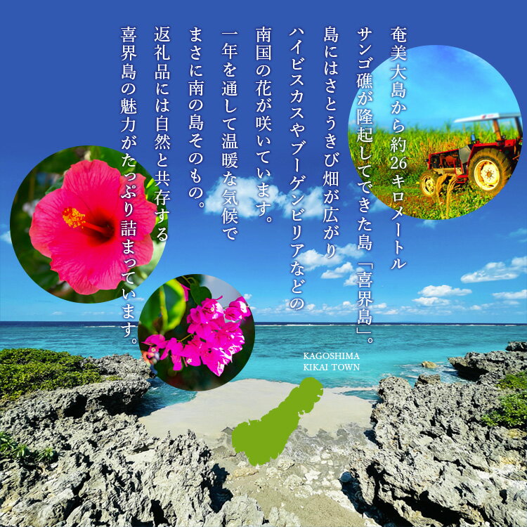 【ふるさと納税】黒糖焼酎一升瓶2本（朝日・しまっちゅ伝蔵） サムネイル3