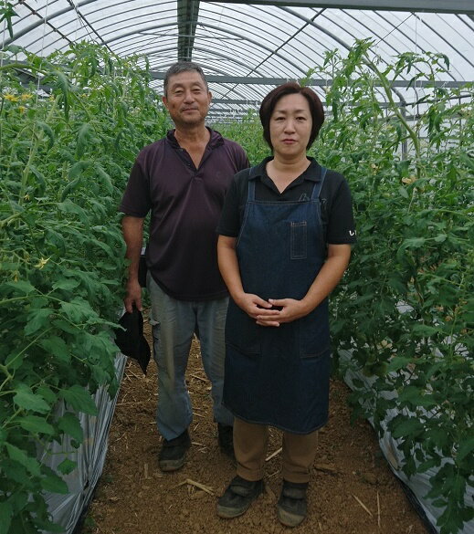 【ふるさと納税】喜界町産トマト3.5kg〜4.0kg　矢竹農園【2026年1月から順次発送】 - 画像3