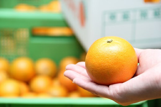 【ふるさと納税】訳あり　たんかん(5Kg大小混合)　高岡果樹園直送【2026年2月頃発送】 サムネイル3