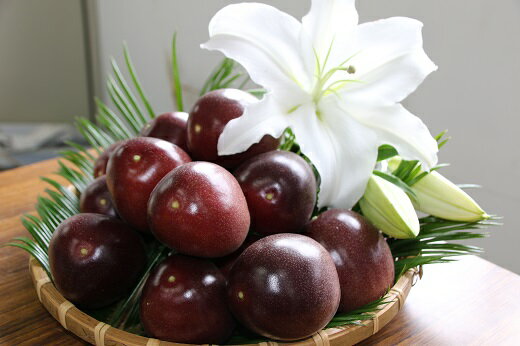 【2026年6月頃発送】【訳あり】パッションフルーツ　ご家庭用・サイズ混合 （約2kg：500g×4袋）【配達指定不可】