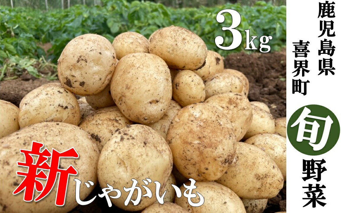 【先行受付2026年3月発送】"サンゴの恵み" 新じゃがいも 3kg【大小混合】【日付指定不可】